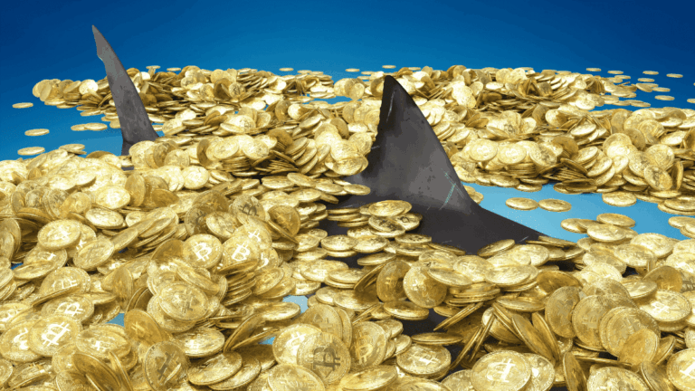 Sharks accumulate Bitcoin during price drop